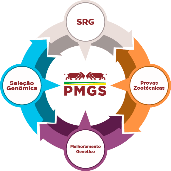 PMGS Logo