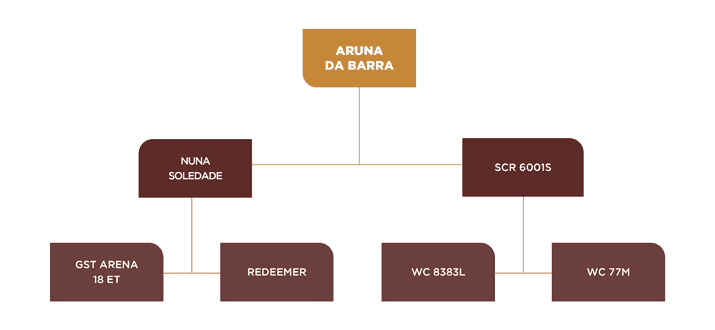 Genealogia Aruna da Barra FIV