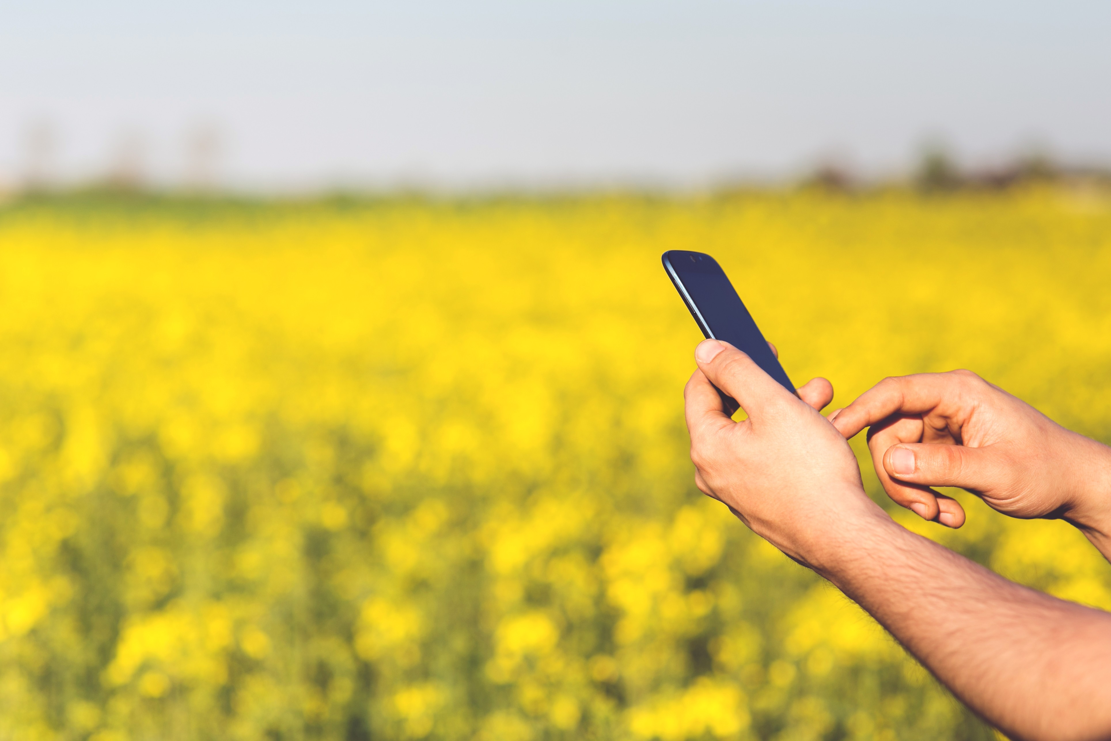 Agricultor com celular