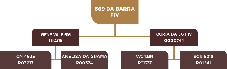 Lote 111 - BARA 569