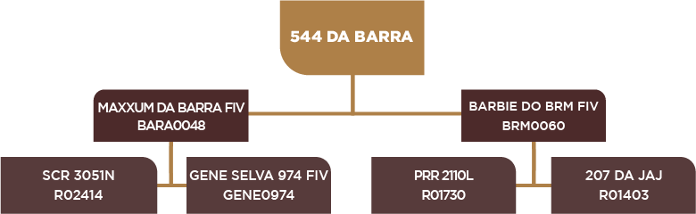 Lote 112 - BARA 544