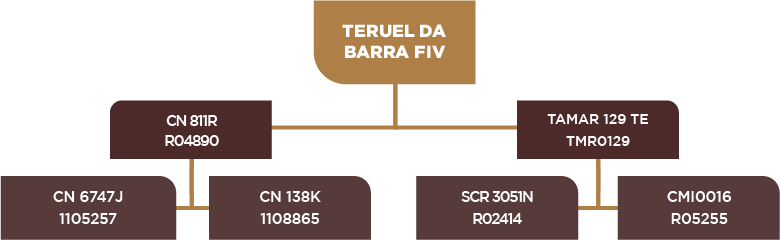 Lote 114 - BARA 460
