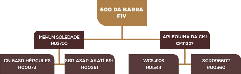 Lote 28 - BARA 600