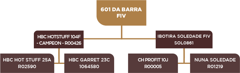Lote 40 - BARA 601