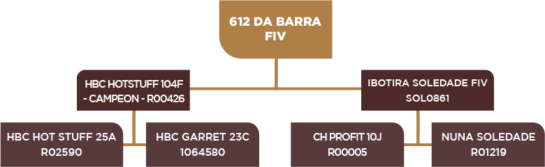 Lote 45 - BARA 612