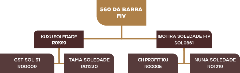 Lote 50 - BARA 560