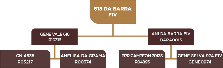 Lote 62 - BARA 618