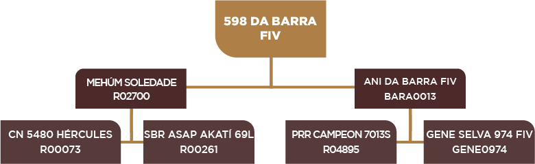 Lote 68 - BARA 598