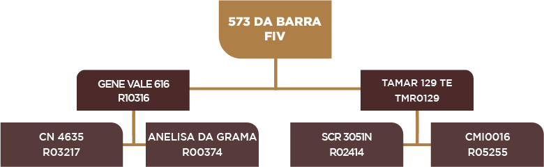 Lote 70 - BARA 573