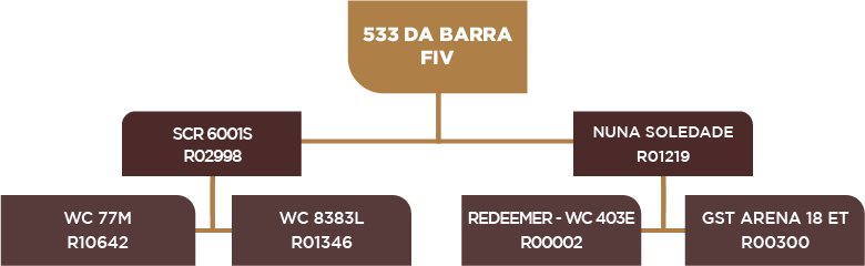 Lote 78 - BARA 533