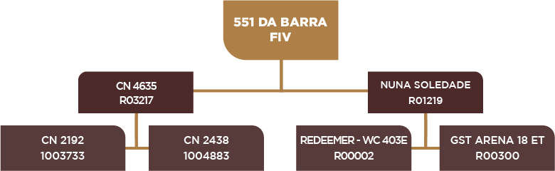 Lote 79 - BARA 551