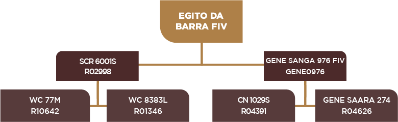 Lote 84 - BARA-491