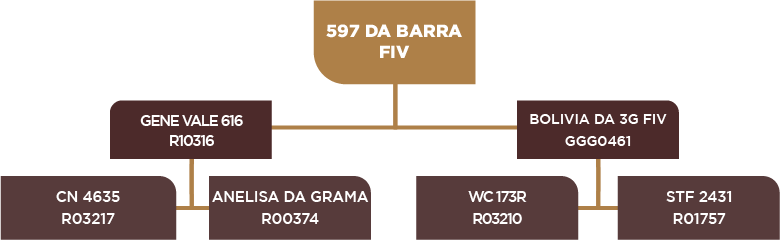 Lote 85 - BARA 597