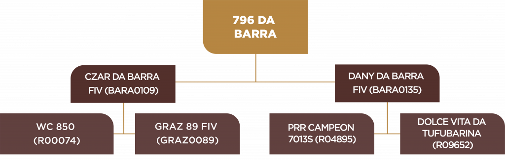 Leilão 2021 - Árvore genealógica - Lote 71 - BARA0796