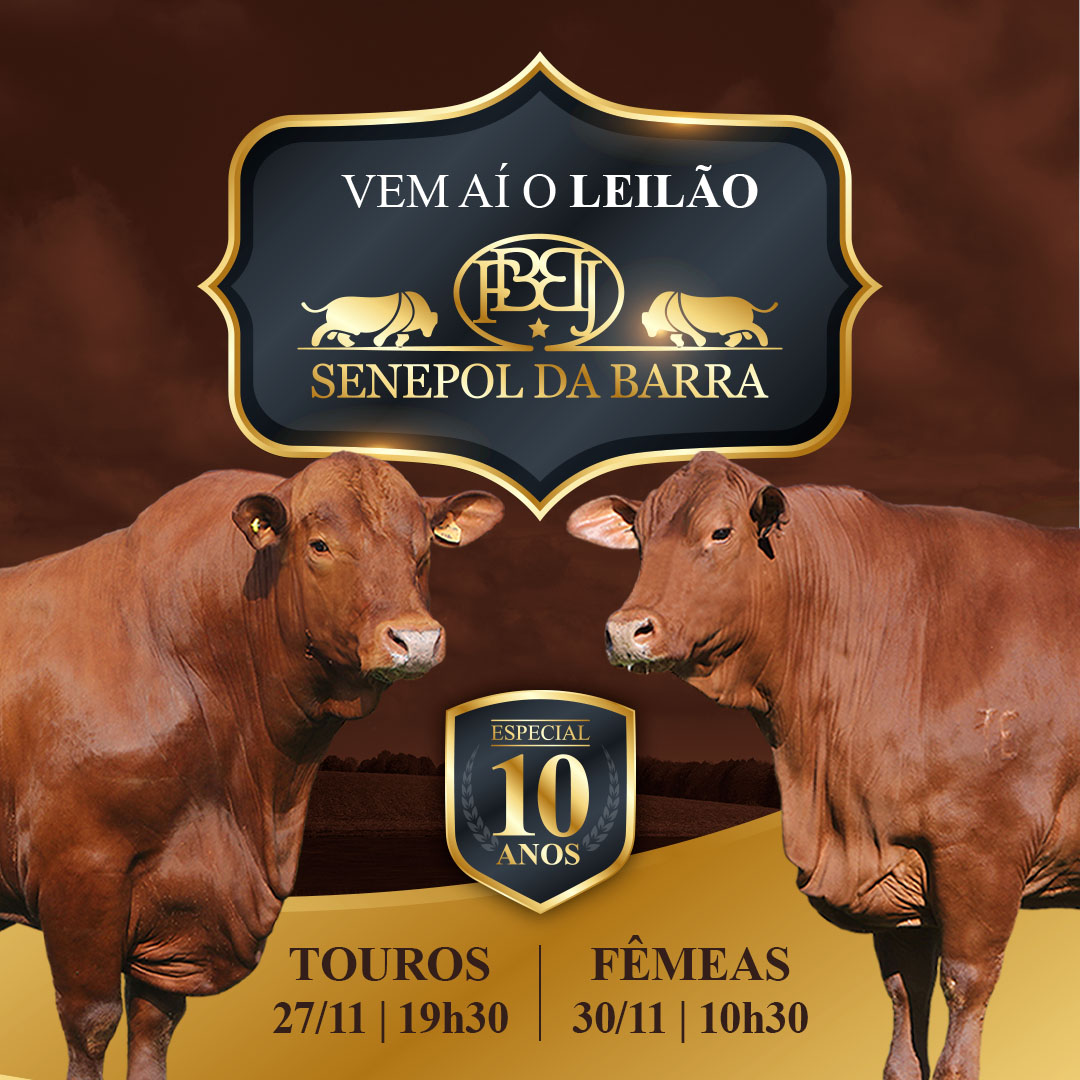 banner lp primaria leilao 2025 mobile2